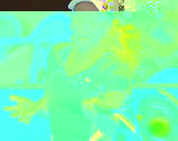 click for WTA gallery