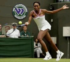 click for Venus Williams news photo search