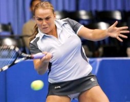 click for Panova news photo search