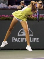 click for Sharapova news photo search