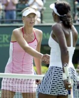 click for Sharapova news photo search