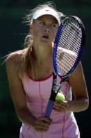 click for Sharapova news photo search