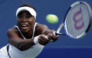click for Venus Williams news photo search