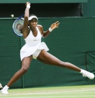 click for Venus Williams news photo search