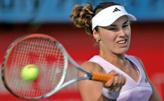 click for Hingis news photo search