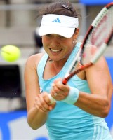 click for Ivanovic news photo search
