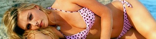 click for 2006 Sports Illustrated Swimsuit Edition Online