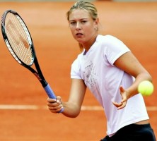 click for Sharapova news photo search