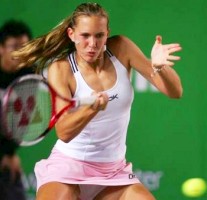 click for Vaidisova photo search