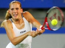 click for Vaidisova news photo search