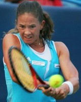 click for Schnyder photo search