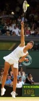 click for Sharapova news photo search