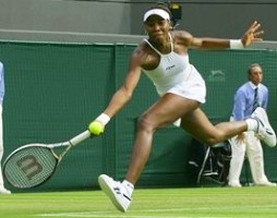 click for Venus Williams news photo search