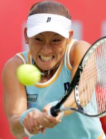 click for Sugiyama news photo search