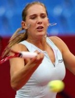 click for Vaidisova news photo search
