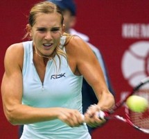 click for Vaidisova news photo search