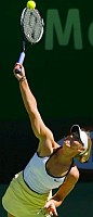 click for Sharapova news photo search