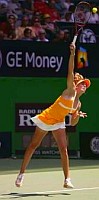 click for Vaidisova news photo search