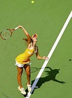 click for Vaidisova news photo search