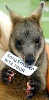 click for Wallaby news photo search