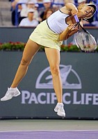 click for Sharapova news photo search
