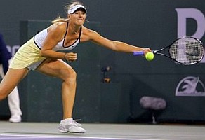 click for Sharapova news photo search