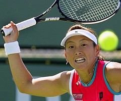 click for Sugiyama news photo search