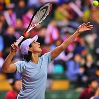click for Fed Cup photo