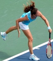 click for Schnyder news photo search